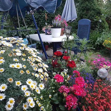 Apartamento Heideperle3a Monchhagen